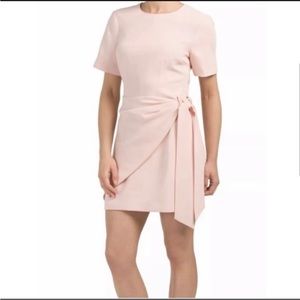 Cinq a Sept Wrap Tie Bia Panel Dress in Blush Pink Melon